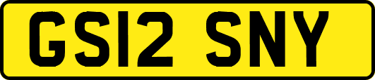 GS12SNY