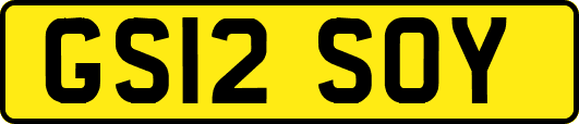 GS12SOY