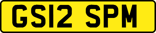 GS12SPM
