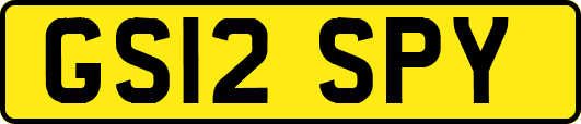GS12SPY