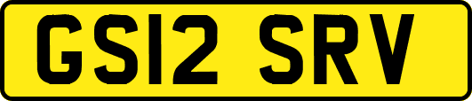 GS12SRV