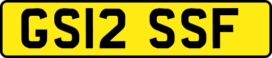 GS12SSF