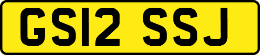 GS12SSJ