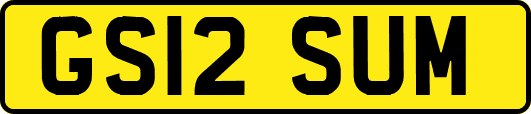 GS12SUM