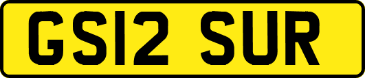 GS12SUR