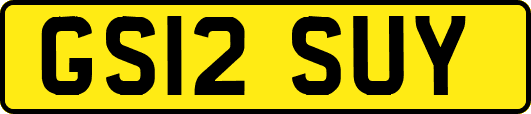 GS12SUY