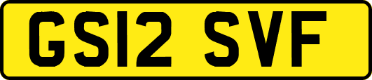 GS12SVF