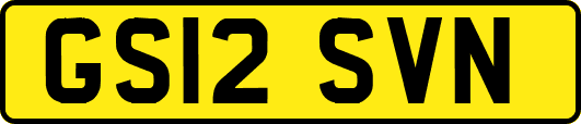 GS12SVN