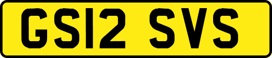 GS12SVS