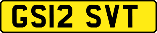 GS12SVT