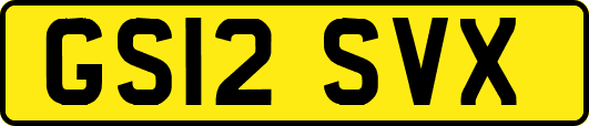 GS12SVX
