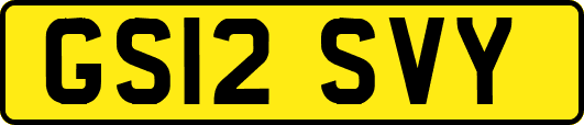 GS12SVY