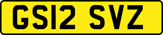 GS12SVZ