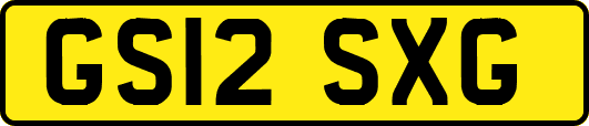 GS12SXG