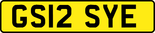 GS12SYE