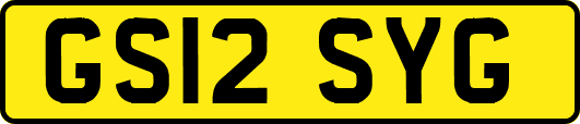 GS12SYG