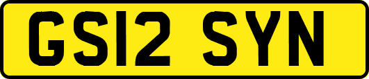 GS12SYN