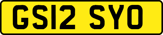 GS12SYO