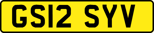 GS12SYV