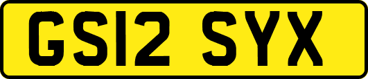 GS12SYX
