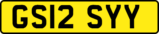GS12SYY