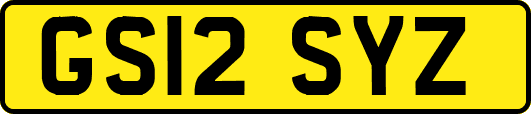 GS12SYZ