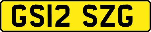GS12SZG