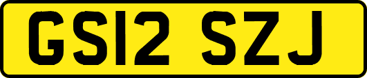 GS12SZJ