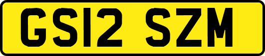GS12SZM