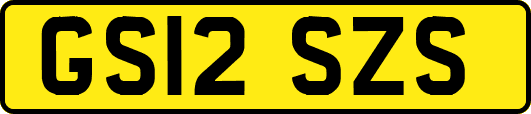 GS12SZS