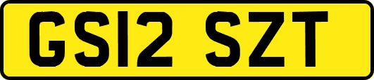 GS12SZT
