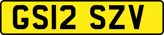 GS12SZV
