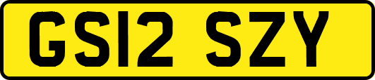 GS12SZY