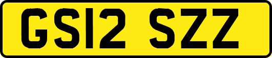 GS12SZZ