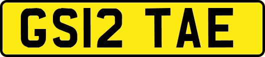 GS12TAE