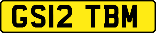 GS12TBM