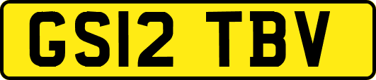 GS12TBV