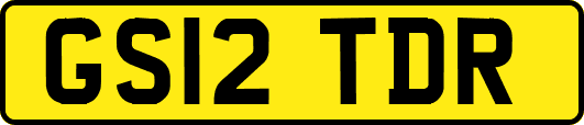 GS12TDR