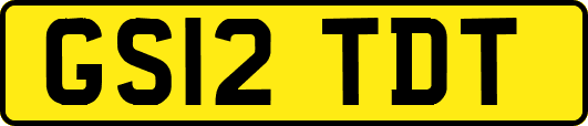 GS12TDT
