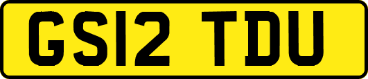 GS12TDU