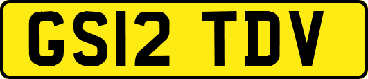 GS12TDV