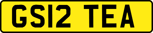 GS12TEA