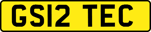 GS12TEC