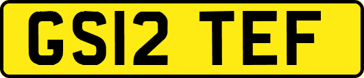 GS12TEF