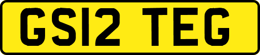 GS12TEG