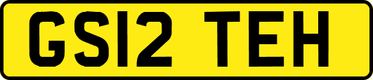 GS12TEH