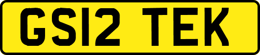 GS12TEK