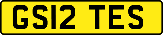 GS12TES
