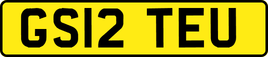 GS12TEU