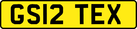 GS12TEX